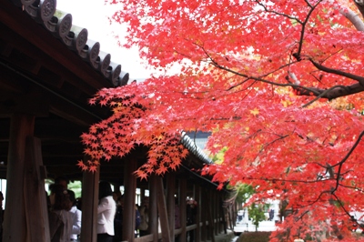 【'08 京都紅葉の旅】東山・東福寺 通天橋の紅葉