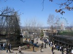 旭山動物園の園内2