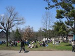 旭山動物園の園内3