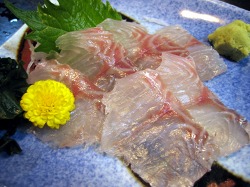 海人市場のすずきの刺身