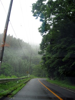 IMG_8006.jpg