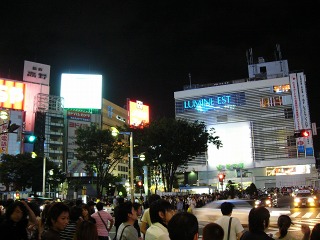 P1310867.jpg